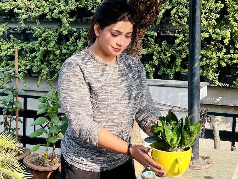 वृक्षारोपण अभियान — Plant 1000 Trees